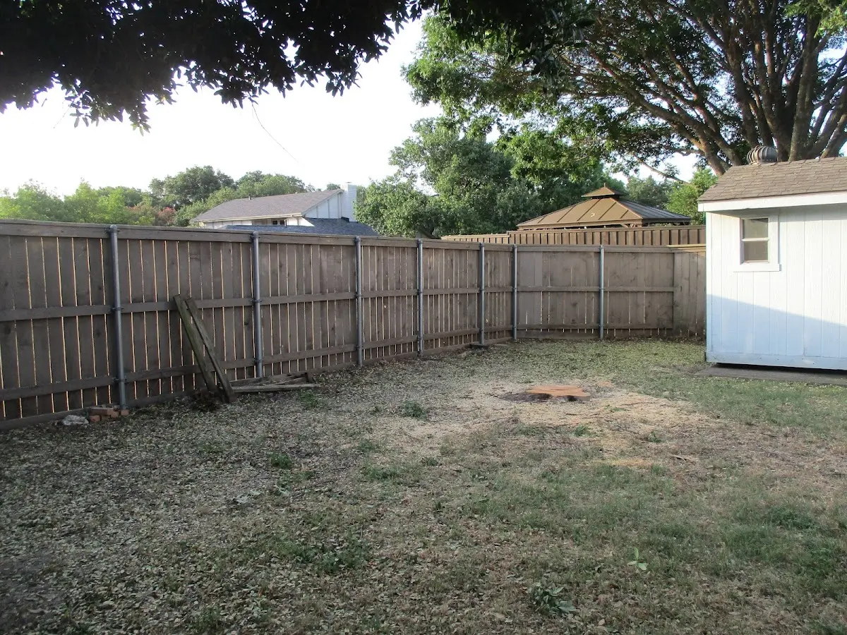 Cleared yard after professional tree removal in New Lexington
