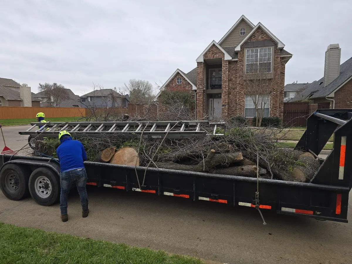 Expert Crown Reduction with proper safety equipment in New Lexington